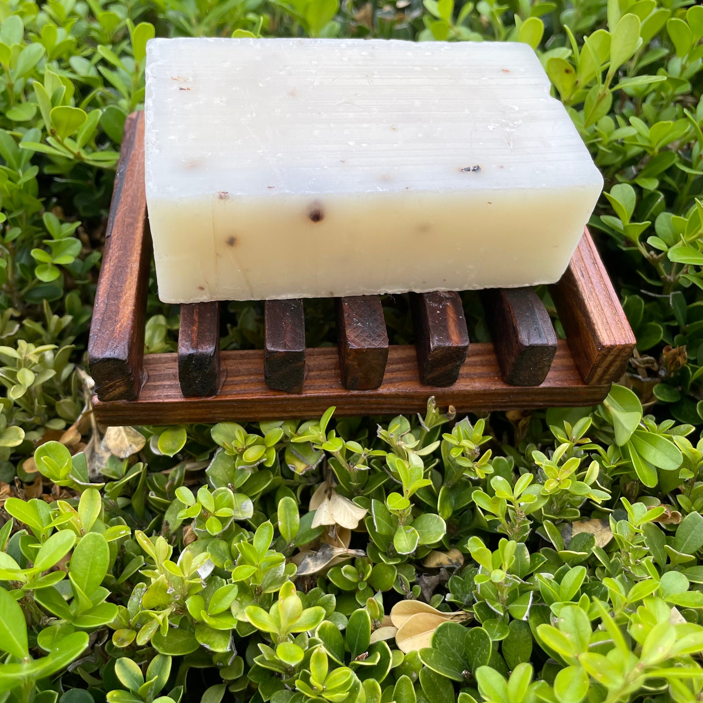 Self Draining Soap Dish