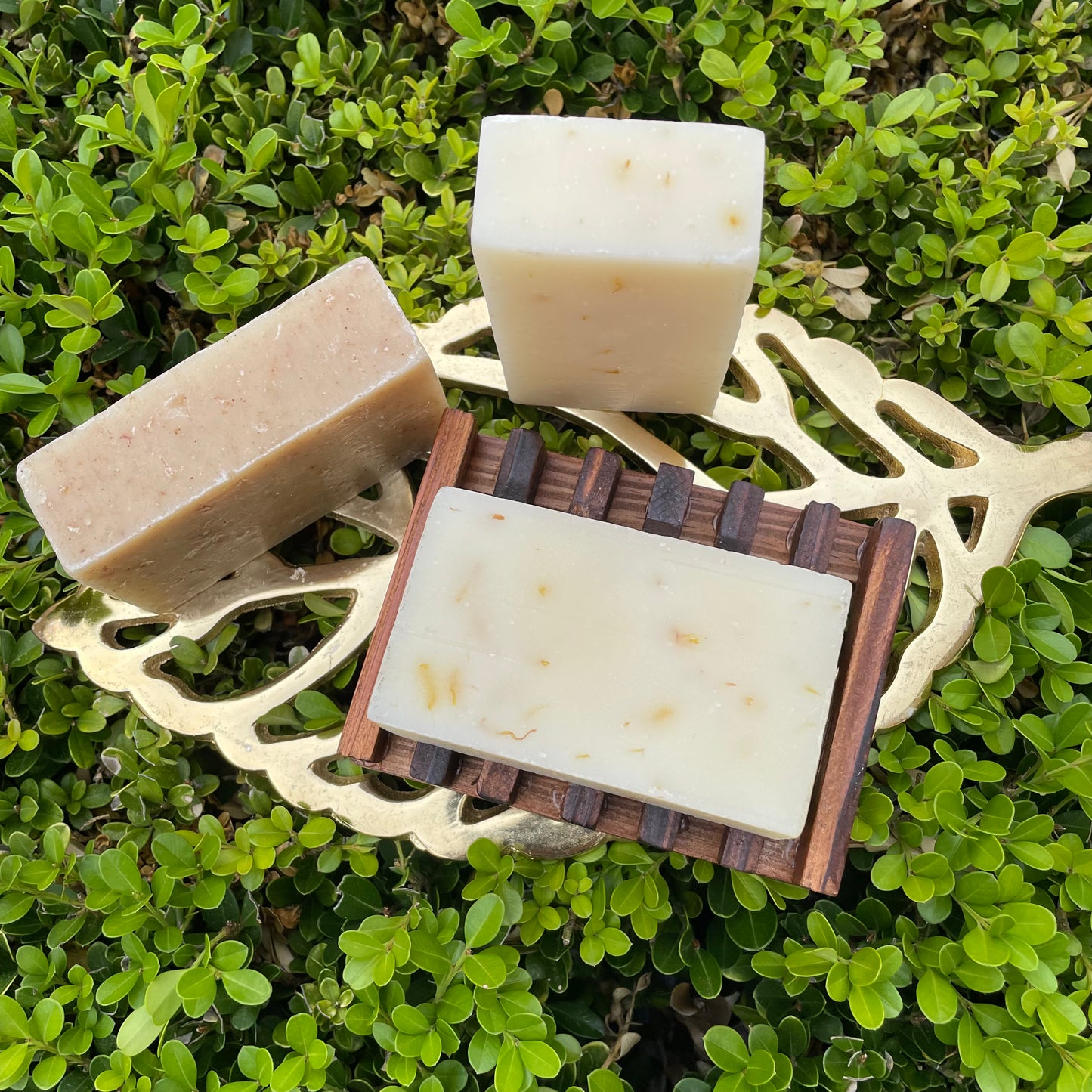 Self Draining Soap Dish