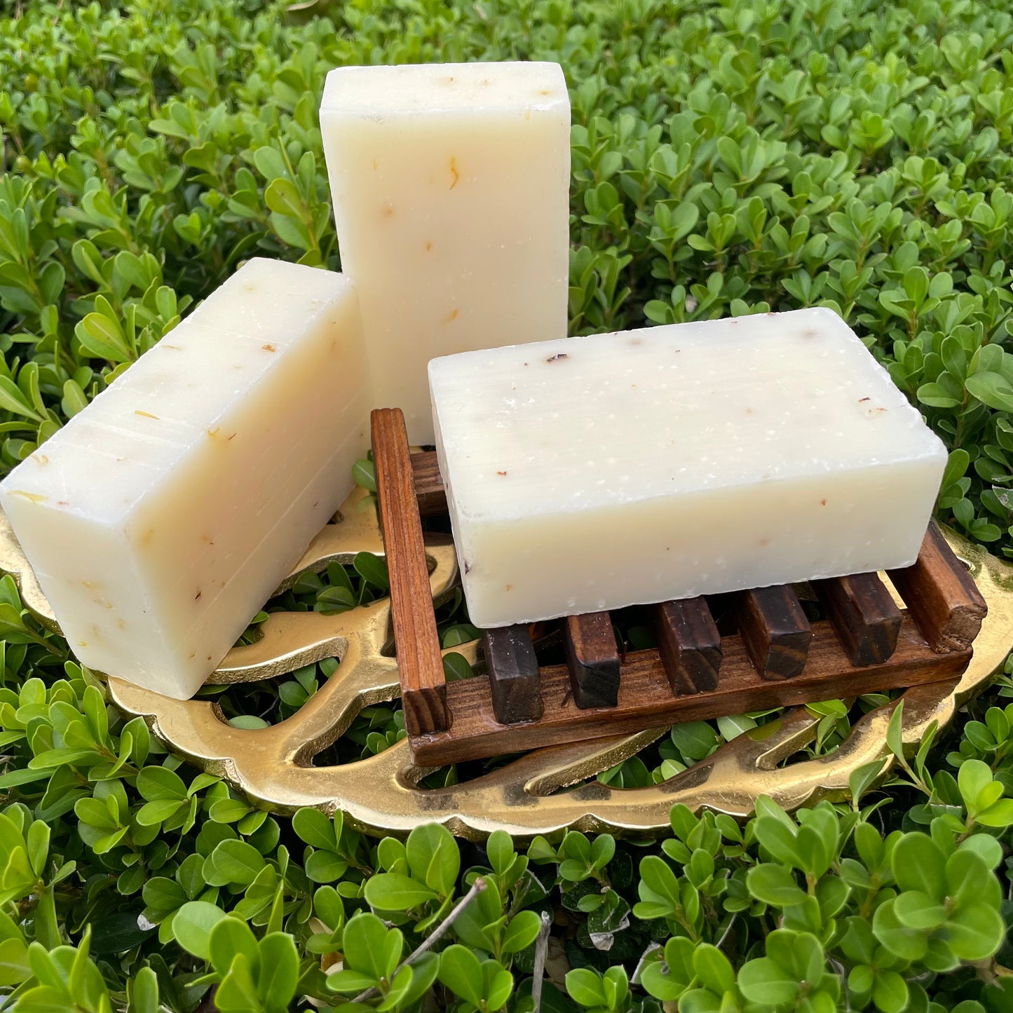 Self Draining Soap Dish