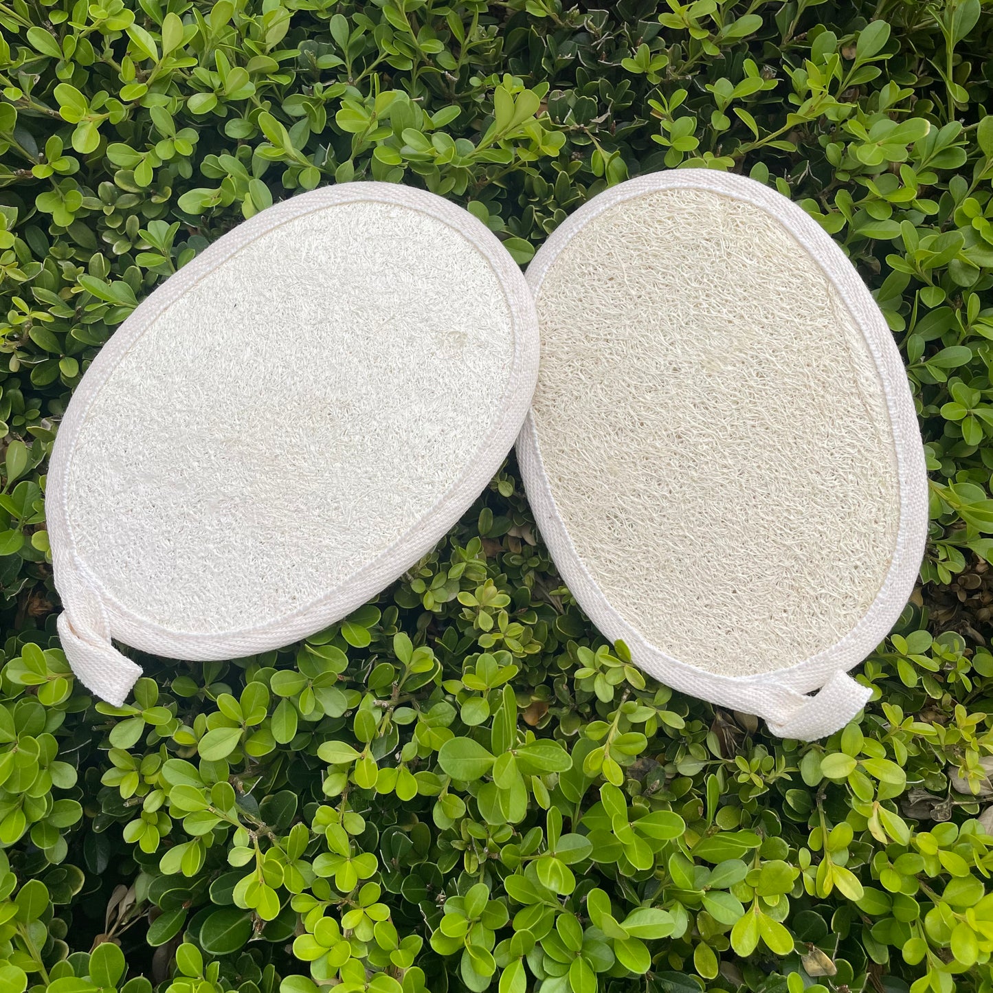 Exfoliating Loofah Pad Body