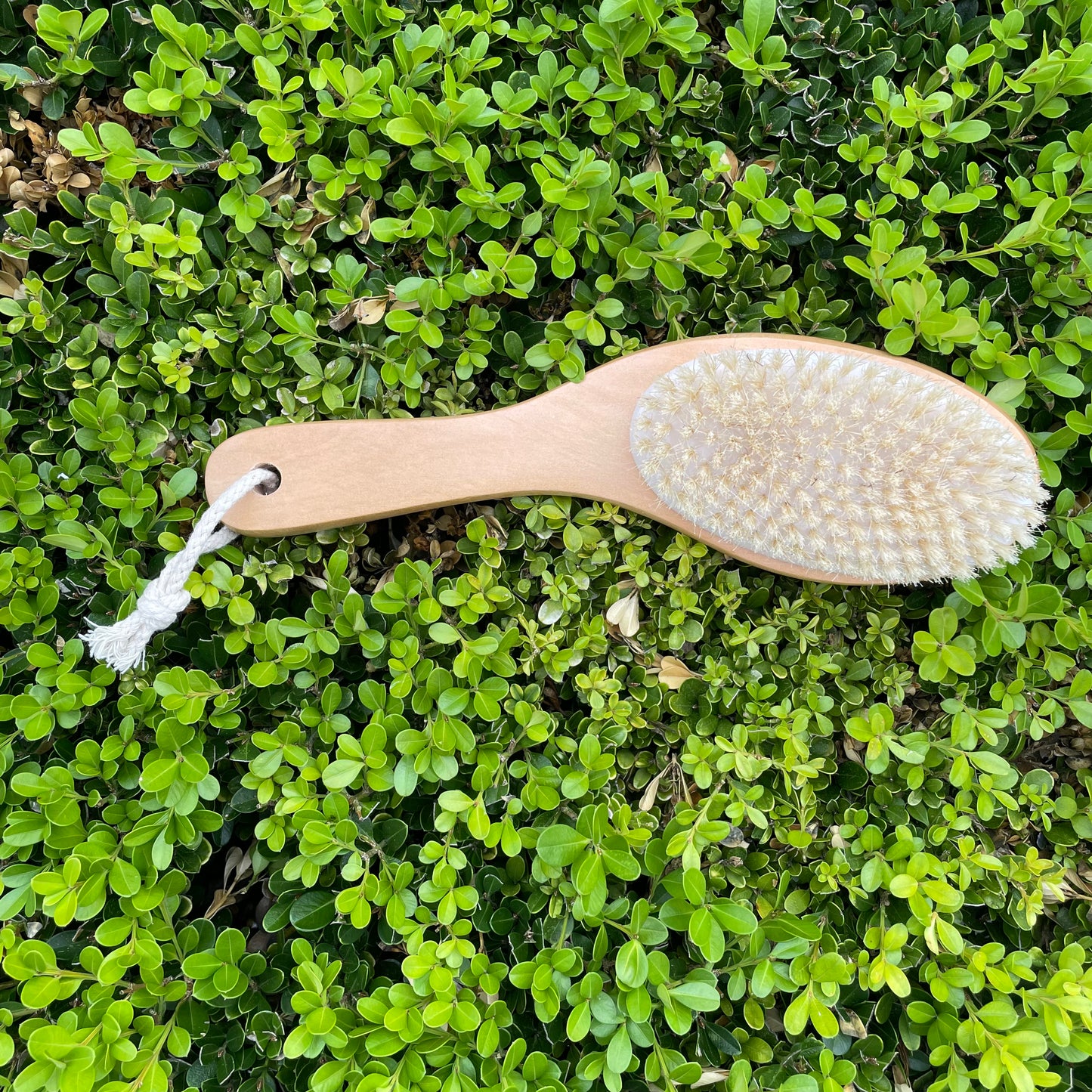 Natural Bristle Body Brush