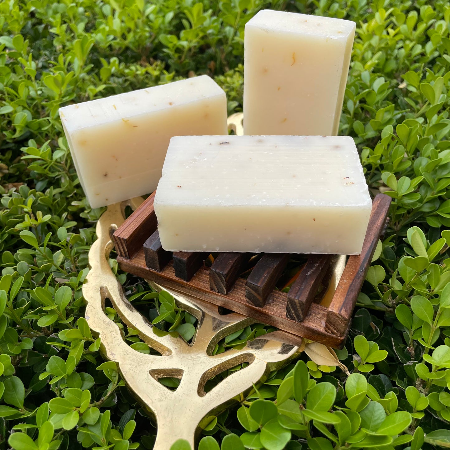 Self Draining Soap Dish